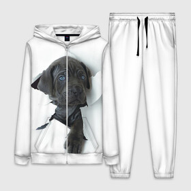Женский костюм 3D с принтом Дог в городе Новоалтайск,  |  | animal | black | break | breed | dog | kid | paper | puppy | tear | torn | дог | животное | малыш | порода | прорыв | разрыв | рваная | собака | черный | щенок