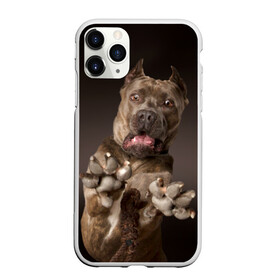 Чехол для iPhone 11 Pro Max матовый с принтом Кане корсо в городе Новоалтайск, Силикон |  | Тематика изображения на принте: animal | breed | brown | dog | fear | jump | legs | throw | бросок | дог | животное | испуг | коричневый | лапы | порода | прыжок | собака