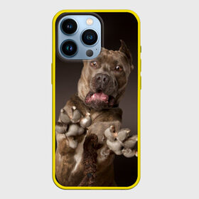 Чехол для iPhone 13 Pro с принтом Дог в городе Новоалтайск,  |  | animal | breed | brown | dog | fear | jump | legs | throw | бросок | дог | животное | испуг | коричневый | лапы | порода | прыжок | собака