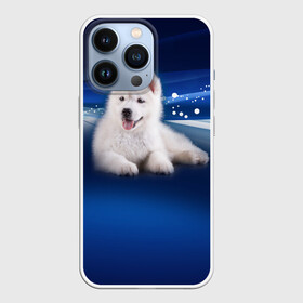 Чехол для iPhone 13 Pro с принтом Щенок хаски в городе Новоалтайск,  |  | Тематика изображения на принте: кутёнок | прикольные картинки | собака | хаска | щенок