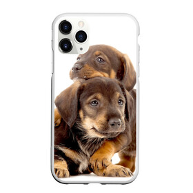 Чехол для iPhone 11 Pro матовый с принтом Таксы в городе Новоалтайск, Силикон |  | brothers | dachshunds | kids | pets | puppies | small dogs | братья | животные | маленькие | малыши | собаки | таксы | щенки