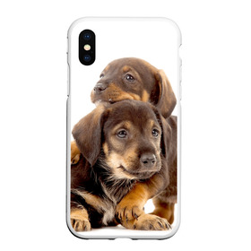 Чехол для iPhone XS Max матовый с принтом Таксы в городе Новоалтайск, Силикон | Область печати: задняя сторона чехла, без боковых панелей | Тематика изображения на принте: brothers | dachshunds | kids | pets | puppies | small dogs | братья | животные | маленькие | малыши | собаки | таксы | щенки