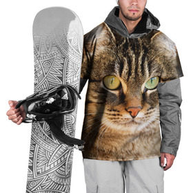 Накидка на куртку 3D с принтом Кот в городе Новоалтайск, 100% полиэстер |  | animal | cat | eyes | face | head | kote | mustache | pet | взгляд | глаза | голова | домашнее | животное | кот | котэ | кошка | усы