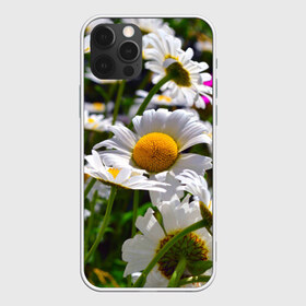 Чехол для iPhone 12 Pro Max с принтом Ромашки в городе Новоалтайск, Силикон |  | желтая | лепесток | природа | ромашка | цветок | яркая