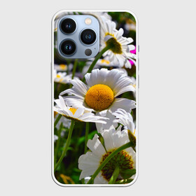 Чехол для iPhone 13 Pro с принтом Ромашки в городе Новоалтайск,  |  | Тематика изображения на принте: желтая | лепесток | природа | ромашка | цветок | яркая