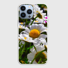 Чехол для iPhone 13 Pro Max с принтом Ромашки в городе Новоалтайск,  |  | Тематика изображения на принте: желтая | лепесток | природа | ромашка | цветок | яркая