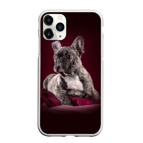Чехол для iPhone 11 Pro Max матовый с принтом Бульдог в городе Новоалтайск, Силикон |  | Тематика изображения на принте: бульдог | кутёнок | прикольные картинки | собака | щенок