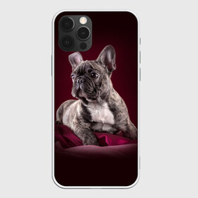 Чехол для iPhone 12 Pro Max с принтом Бульдог в городе Новоалтайск, Силикон |  | Тематика изображения на принте: бульдог | кутёнок | прикольные картинки | собака | щенок