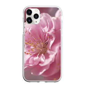 Чехол для iPhone 11 Pro Max матовый с принтом Розовые цветы в городе Новоалтайск, Силикон |  | девушкам | розы | цветочки | цветы