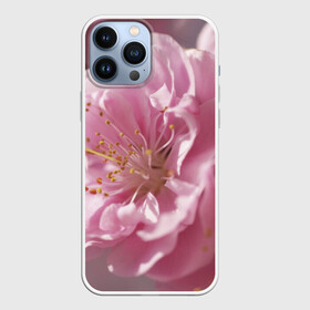 Чехол для iPhone 13 Pro Max с принтом Розовые цветы в городе Новоалтайск,  |  | Тематика изображения на принте: девушкам | розы | цветочки | цветы