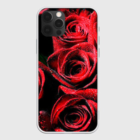 Чехол для iPhone 12 Pro Max с принтом Розы в городе Новоалтайск, Силикон |  | Тематика изображения на принте: алый | красный | роса | фото | цветы