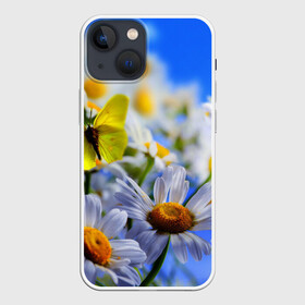 Чехол для iPhone 13 mini с принтом Ромашки и бабочка в городе Новоалтайск,  |  | бабочки | лето | природа | ромашки | цветы