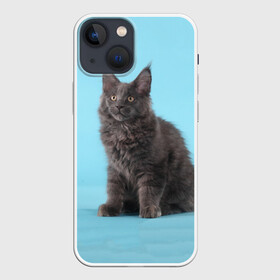 Чехол для iPhone 13 mini с принтом Кот мейн кун в городе Новоалтайск,  |  | котенок | мейнкун