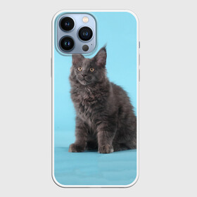 Чехол для iPhone 13 Pro Max с принтом Кот мейн кун в городе Новоалтайск,  |  | Тематика изображения на принте: котенок | мейнкун