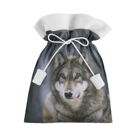 Подарочный 3D мешок Волк в лесу: в городе Новоалтайск, 100% полиэстер | Размер: 29*39 см |