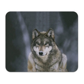 Коврик прямоугольный Волк в лесу: в городе Новоалтайск, натуральный каучук | размер 230 х 185 мм; запечатка лицевой стороны |