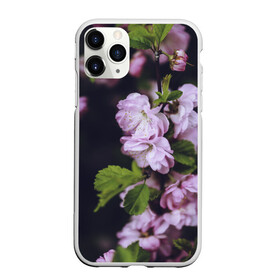 Чехол для iPhone 11 Pro матовый с принтом Винтажные розы в городе Новоалтайск, Силикон |  | vintage | винтаж | зелень | лето | пионы | розы | узоры | цветы