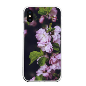 Чехол для iPhone XS Max матовый с принтом Винтажные розы в городе Новоалтайск, Силикон | Область печати: задняя сторона чехла, без боковых панелей | Тематика изображения на принте: vintage | винтаж | зелень | лето | пионы | розы | узоры | цветы