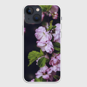 Чехол для iPhone 13 mini с принтом Винтажные розы в городе Новоалтайск,  |  | Тематика изображения на принте: vintage | винтаж | зелень | лето | пионы | розы | узоры | цветы