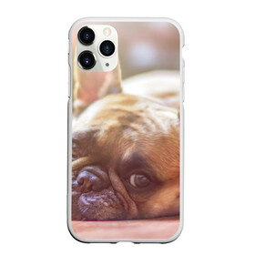 Чехол для iPhone 11 Pro Max матовый с принтом французский бульдог в городе Новоалтайск, Силикон |  | Тематика изображения на принте: dog | бульдог | друг | собака | язык