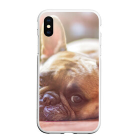 Чехол для iPhone XS Max матовый с принтом французский бульдог в городе Новоалтайск, Силикон | Область печати: задняя сторона чехла, без боковых панелей | dog | бульдог | друг | собака | язык