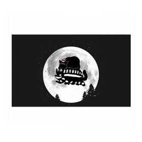 Бумага для упаковки 3D с принтом Totoro в городе Новоалтайск, пластик и полированная сталь | круглая форма, металлическое крепление в виде кольца | котобус | рождество
