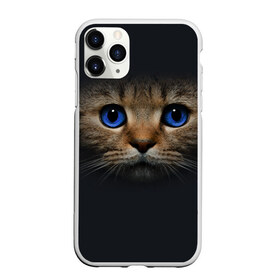 Чехол для iPhone 11 Pro Max матовый с принтом Кот с синими глазами в городе Новоалтайск, Силикон |  | кот | котенок | кошка | мордочка