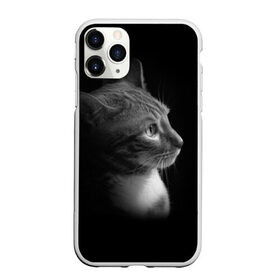 Чехол для iPhone 11 Pro Max матовый с принтом Кошка в городе Новоалтайск, Силикон |  | Тематика изображения на принте: киска | кот | кошка