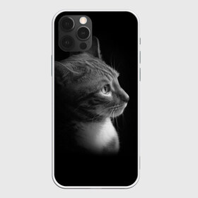 Чехол для iPhone 12 Pro Max с принтом Кошка в городе Новоалтайск, Силикон |  | Тематика изображения на принте: киска | кот | кошка