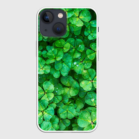 Чехол для iPhone 13 mini с принтом клевер в городе Новоалтайск,  |  | Тематика изображения на принте: зелень | ирландия | клевер | лето | листья | солнце | цветы