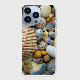 Чехол для iPhone 13 Pro с принтом Морские ракушки и камни в городе Новоалтайск,  |  | камни | море | морские камни | ракушки