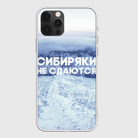Чехол для iPhone 12 Pro Max с принтом Сибирь в городе Новоалтайск, Силикон |  | Тематика изображения на принте: сибирь