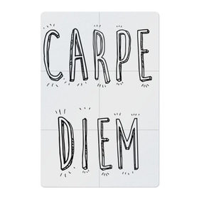 Магнитный плакат 2Х3 с принтом Carpe Diem в городе Новоалтайск, Полимерный материал с магнитным слоем | 6 деталей размером 9*9 см | carpe diem | действуй | живи настоящим | живи одним днем | карпэ диэм | лови день | лови момент | рискуй