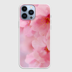 Чехол для iPhone 13 Pro Max с принтом Сакура в городе Новоалтайск,  |  | Тематика изображения на принте: весна | вишня | розовый | цветение | цветы | япония