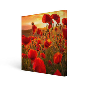 Холст квадратный с принтом Маки в городе Новоалтайск, 100% ПВХ |  | field | flowers | meadow | nature | poppies | red | sky | summer | sun | sunset | wild | закат | красные | лето | луг | маки | небо | поле | полевые | природа | солнце | цветы