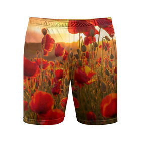 Мужские шорты 3D спортивные с принтом Маки в городе Новоалтайск,  |  | field | flowers | meadow | nature | poppies | red | sky | summer | sun | sunset | wild | закат | красные | лето | луг | маки | небо | поле | полевые | природа | солнце | цветы