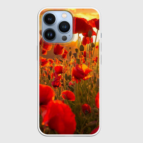 Чехол для iPhone 13 Pro с принтом Маки в городе Новоалтайск,  |  | Тематика изображения на принте: field | flowers | meadow | nature | poppies | red | sky | summer | sun | sunset | wild | закат | красные | лето | луг | маки | небо | поле | полевые | природа | солнце | цветы