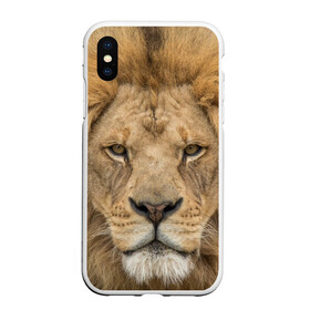 Чехол для iPhone XS Max матовый с принтом Лев в городе Новоалтайск, Силикон | Область печати: задняя сторона чехла, без боковых панелей | грива | джунгли | животные | зверь | король | кровь | лев | охотник | хищник | царь