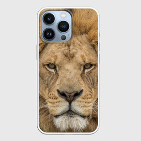 Чехол для iPhone 13 Pro с принтом Лев в городе Новоалтайск,  |  | грива | джунгли | животные | зверь | король | кровь | лев | охотник | хищник | царь