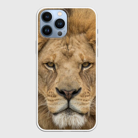 Чехол для iPhone 13 Pro Max с принтом Лев в городе Новоалтайск,  |  | Тематика изображения на принте: грива | джунгли | животные | зверь | король | кровь | лев | охотник | хищник | царь