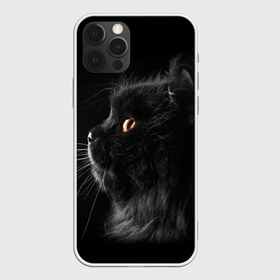 Чехол для iPhone 12 Pro Max с принтом Милая кошечка в городе Новоалтайск, Силикон |  | Тематика изображения на принте: osfenemy | животное | животные | киса | кошечка | кошка | милая | мур | мяу | фото | черный