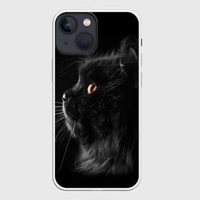 Чехол для iPhone 13 mini с принтом Милая кошечка в городе Новоалтайск,  |  | osfenemy | животное | животные | киса | кошечка | кошка | милая | мур | мяу | фото | черный
