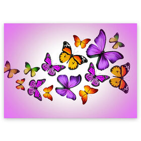 Поздравительная открытка с принтом Butterflies в городе Новоалтайск, 100% бумага | плотность бумаги 280 г/м2, матовая, на обратной стороне линовка и место для марки
 | Тематика изображения на принте: бабочки | белый | картинка | лето | природа | рисунок | розовый | цвета