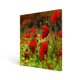 Холст квадратный с принтом Маки в городе Новоалтайск, 100% ПВХ |  | field | flowers | meadow | nature | poppies | poppy | red | summer | wild | красные | лето | луг | мак | маки | поле | полевые | природа | цветы