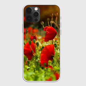 Чехол для iPhone 12 Pro Max с принтом Маки в городе Новоалтайск, Силикон |  | field | flowers | meadow | nature | poppies | poppy | red | summer | wild | красные | лето | луг | мак | маки | поле | полевые | природа | цветы