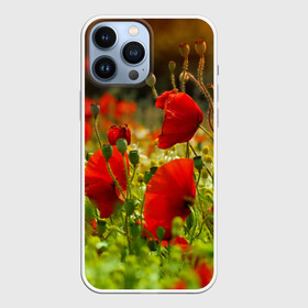 Чехол для iPhone 13 Pro Max с принтом Маки в городе Новоалтайск,  |  | Тематика изображения на принте: field | flowers | meadow | nature | poppies | poppy | red | summer | wild | красные | лето | луг | мак | маки | поле | полевые | природа | цветы
