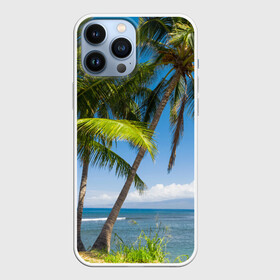 Чехол для iPhone 13 Pro Max с принтом Пальмы в городе Новоалтайск,  |  | Тематика изображения на принте: море | отдых | отпуск | пальмы | пляж | солнце | туризм