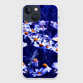 Чехол для iPhone 13 mini с принтом Ромашки в городе Новоалтайск,  |  | лепестки | прикольные картинки | ромашки | цветочки | цветы