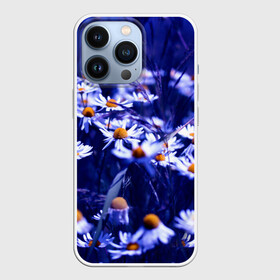 Чехол для iPhone 13 Pro с принтом Ромашки в городе Новоалтайск,  |  | Тематика изображения на принте: лепестки | прикольные картинки | ромашки | цветочки | цветы