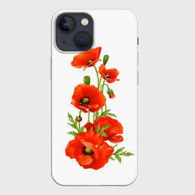 Чехол для iPhone 13 mini с принтом Маки в городе Новоалтайск,  |  | field | flowers | poppies | poppy | red | wild | красные | мак | маки | поле | полевые | цветы